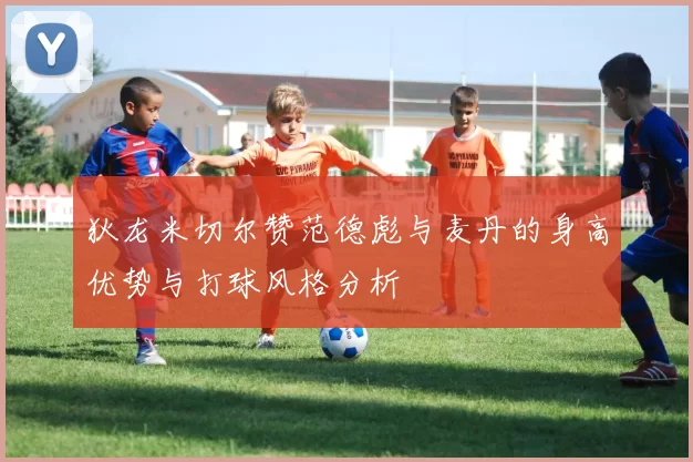 狄龙米切尔赞范德彪与麦丹的身高优势与打球风格分析